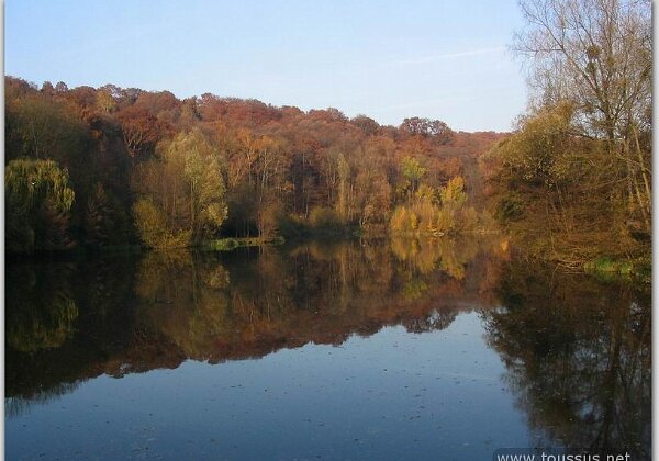 Etang de Buc