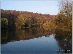 Etang de Buc