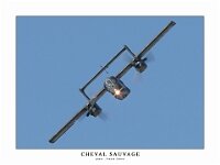bronco-003-toussus