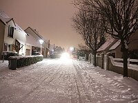 IMG_8806