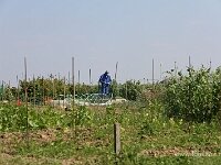 IMG_5862