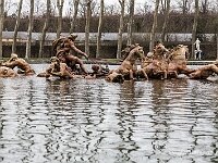 Grandes-Eaux-Versailles-10