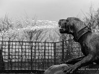 Grandes-Eaux-Versailles-2