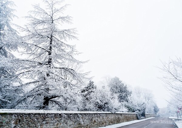 Givre-Hiver