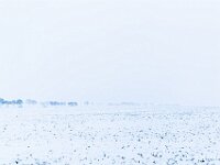 IMG_2860
