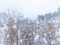 IMG_2864