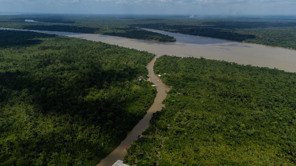 An aerial view of a part of the Amazon Rainforest
