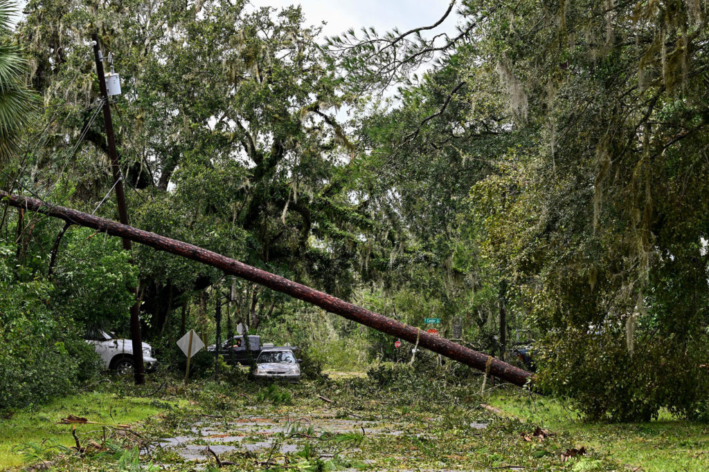 A downed tree lays akimbo across a branch-littered street in the aftermath of Hurricane Idalia, blocking the stationary cars seen behind them
