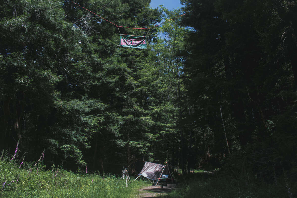 L'un des villages arboricoles protégeant les séquoias de seconde croissance sur les terres forestières de Green Diamond.