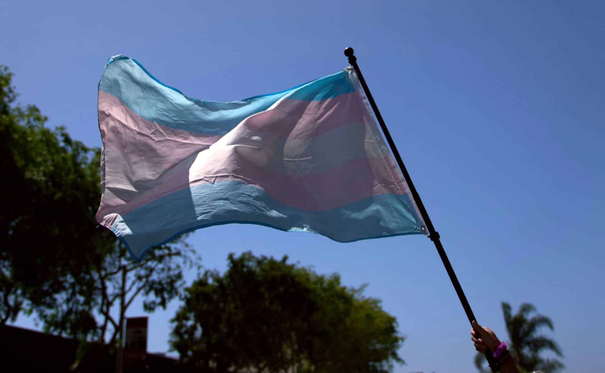 Les républicains de Caroline du Sud présentent des projets de loi qui « restreindraient sévèrement » les personnes trans