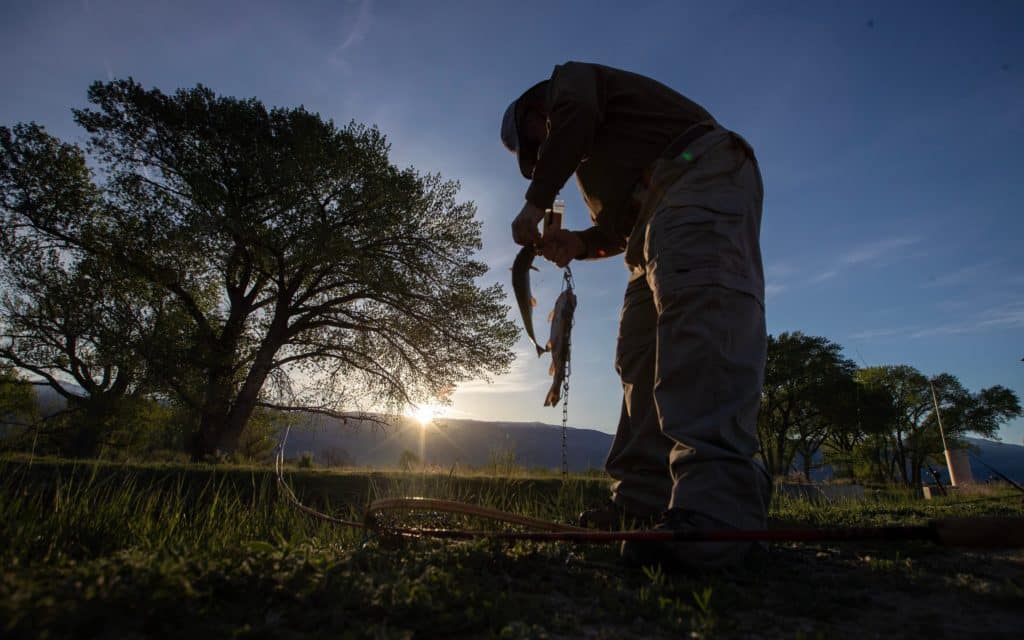 Bill Waters hooks up his second trout of the morning as the sun rises above the White Mountains on the official opening day of trout season on April 29, 2023 in Bishop, California.