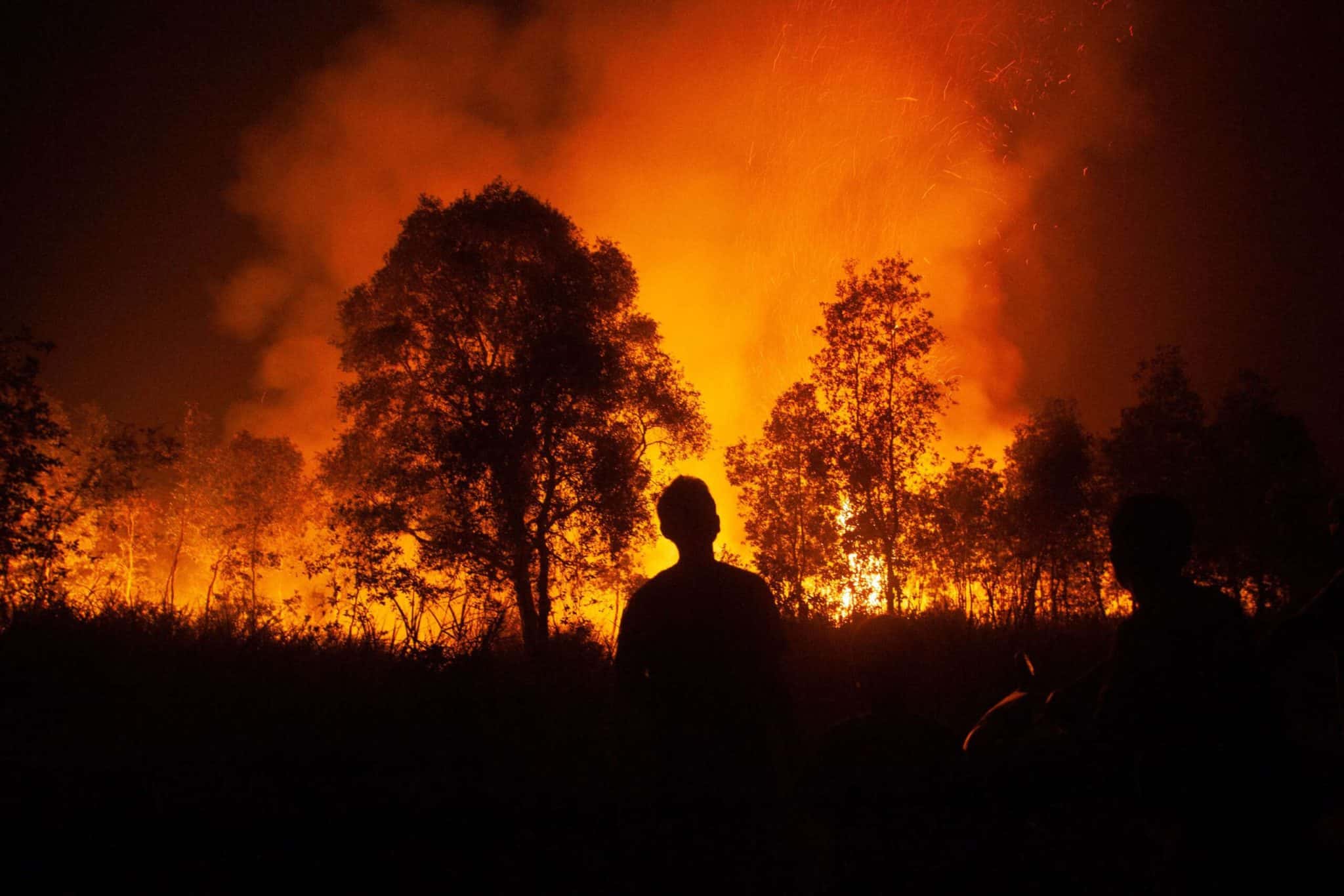 2023 bat les records mondiaux de température.  2024 devrait être pire.