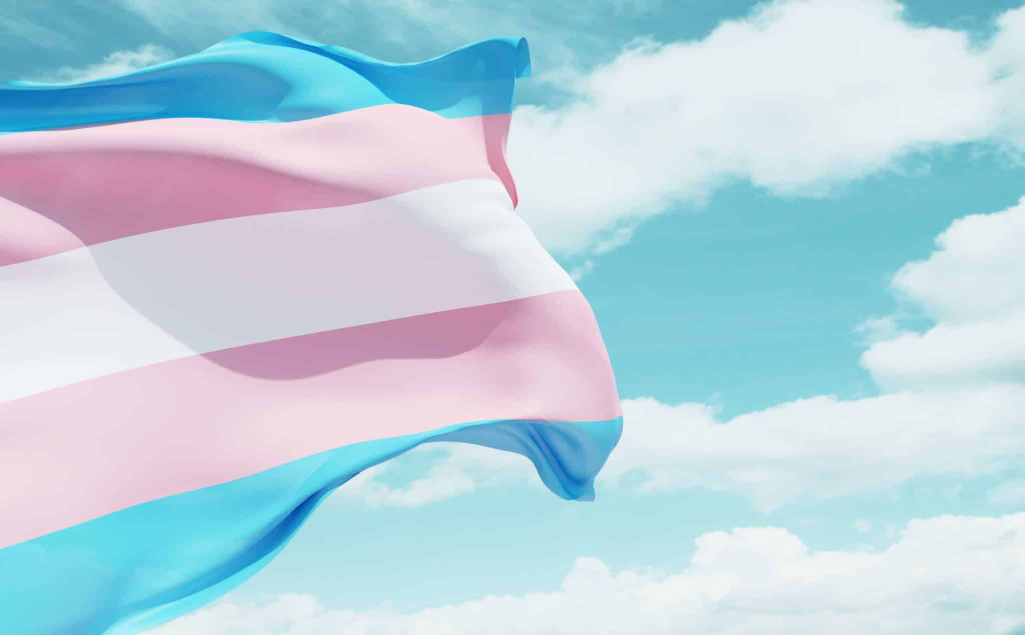 Les conservateurs de Virginie-Occidentale veulent définir légalement les personnes trans comme « obscènes »
