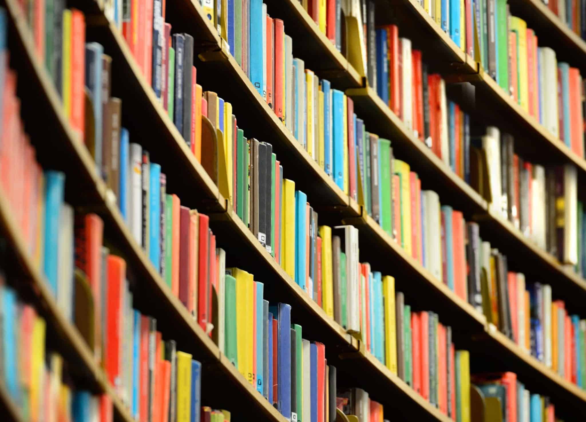 Le GOP de l'Idaho pousse un projet de loi qui pourrait interdire les livres de bibliothèque avec une main de même sexe