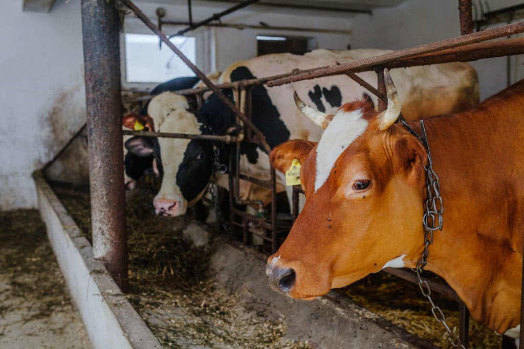 Les grandes sociétés agricoles et pétrolières unissent leurs forces pour faire pression en faveur de crédits d’énergie propre