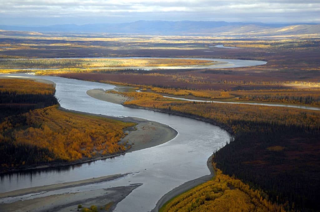 Le projet de route proposé pour le projet minier pourrait avoir un impact dévastateur sur l'habitat de l'Alaska