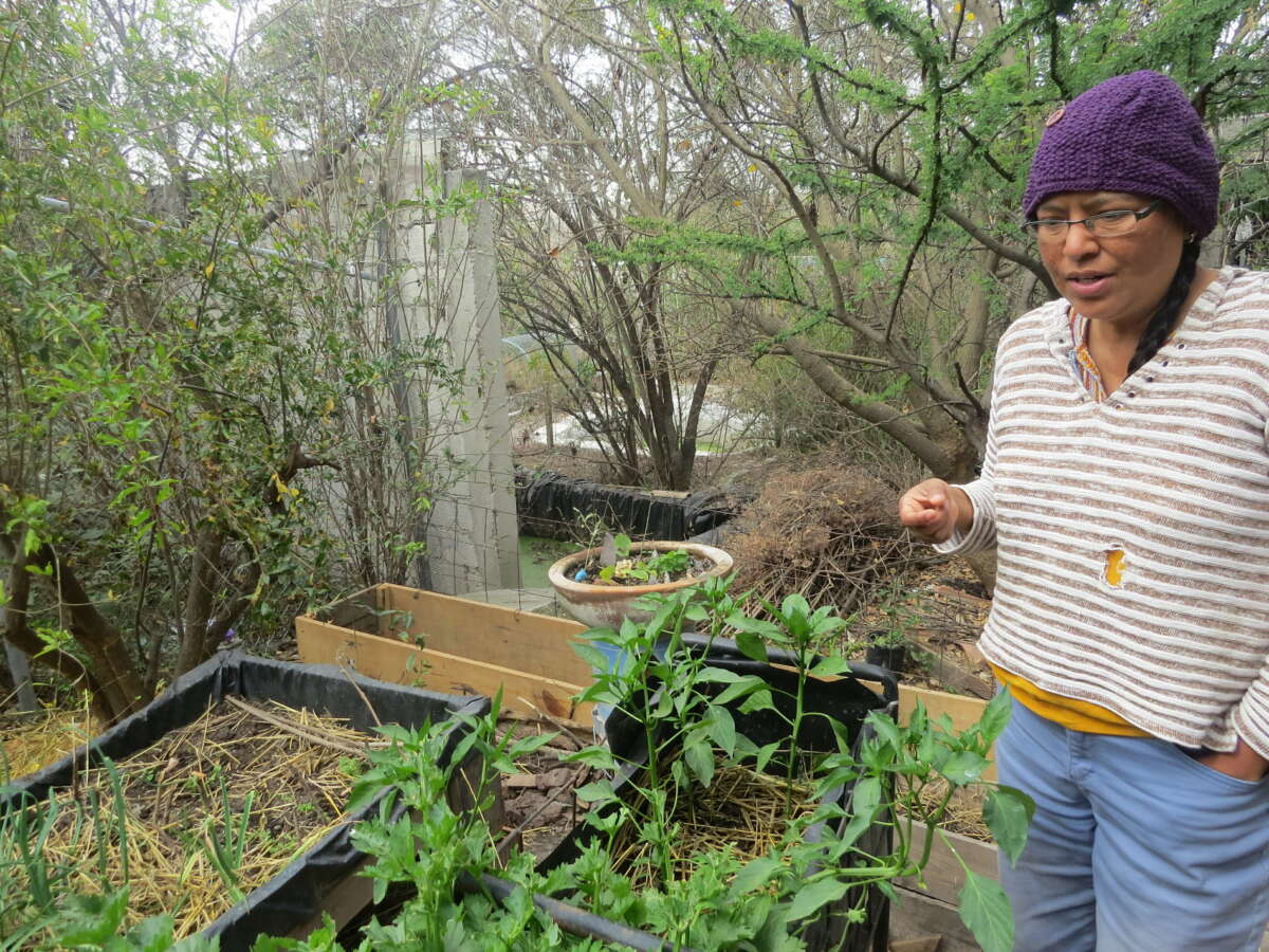 Sélène Agustin, militante en permaculture.