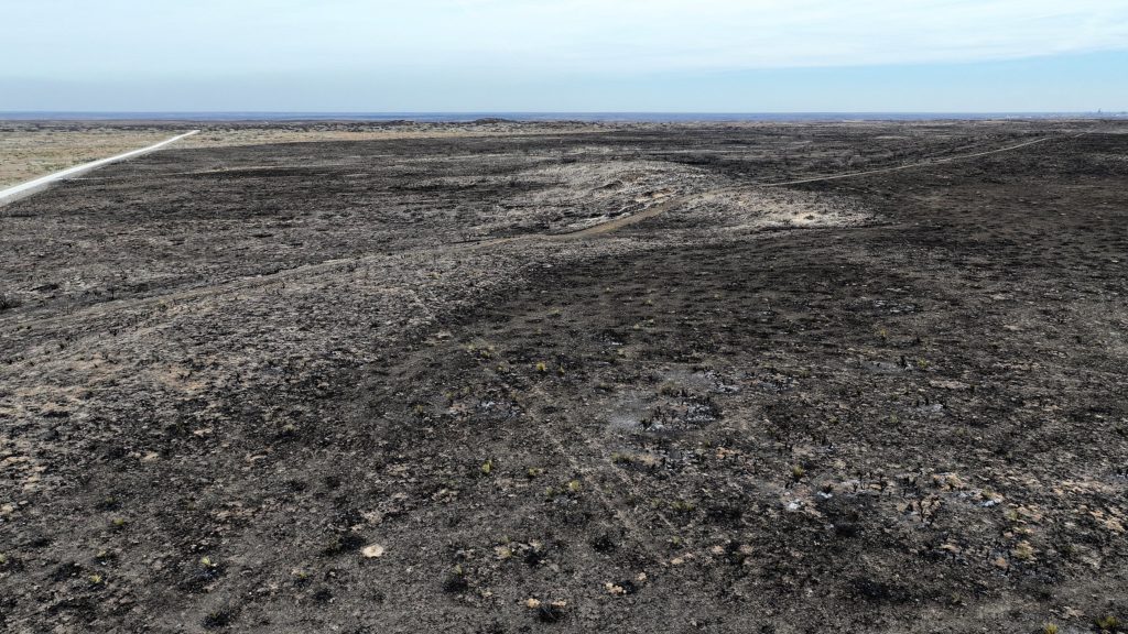 An Aerial view of the burned ground in the aftermath of the Texas Smokehouse Creek fire